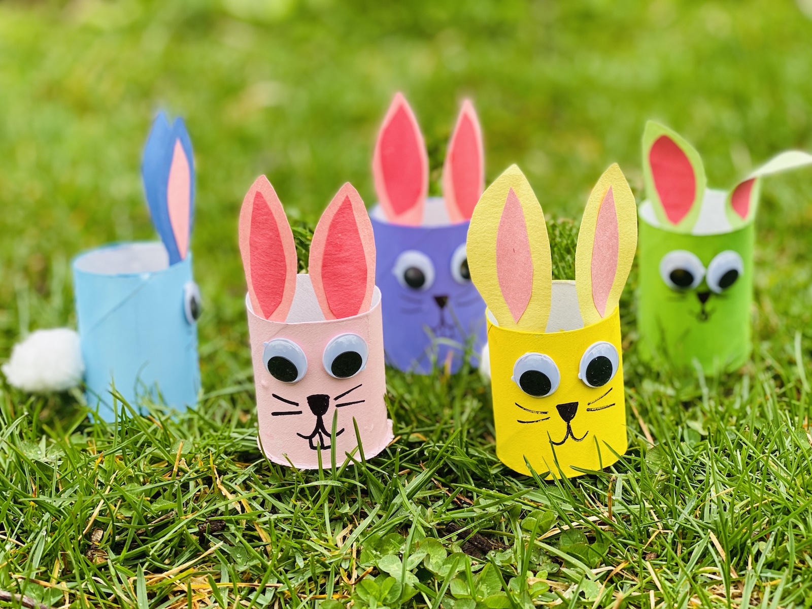 TP Bunny Craft